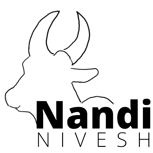nandi-logo